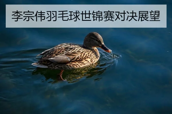 李宗伟羽毛球世锦赛对决展望